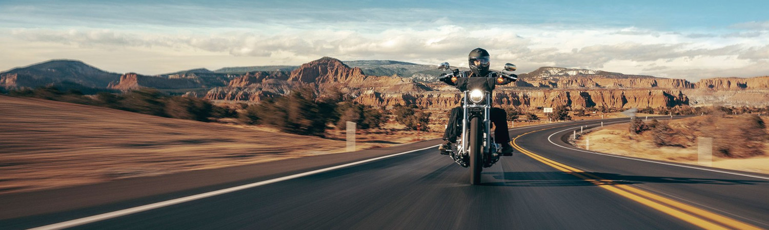 2023 Harley-Davidson® Softail® Standard for sale in Cowboy Harley-Davidson® of Alamo City, San Antonio, Texas